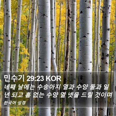 민수기 29:23 KOR Bible Verse Image