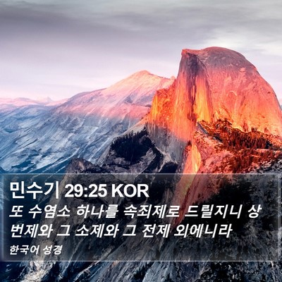 민수기 29:25 KOR Bible Verse Image