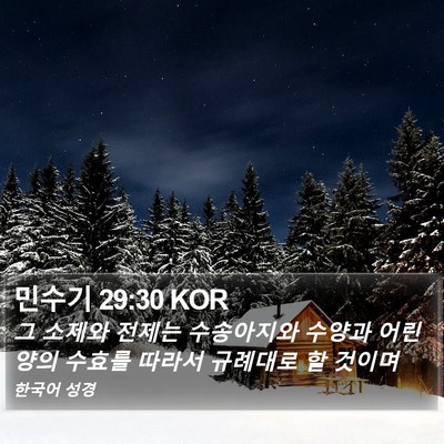 민수기 29:30 KOR Bible Verse Image
