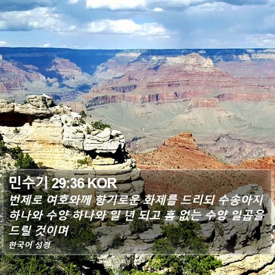 민수기 29:36 KOR Bible Verse Image