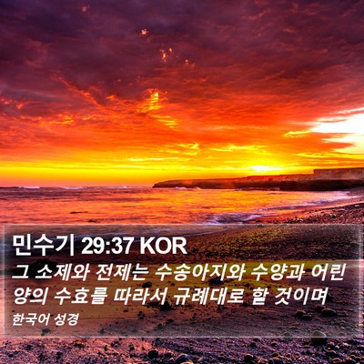 민수기 29:37 KOR Bible Verse Image
