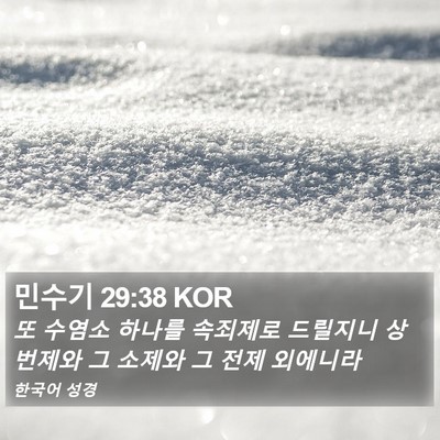 민수기 29:38 KOR Bible Verse Image