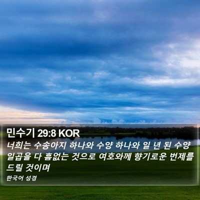 민수기 29:8 KOR Bible Verse Image