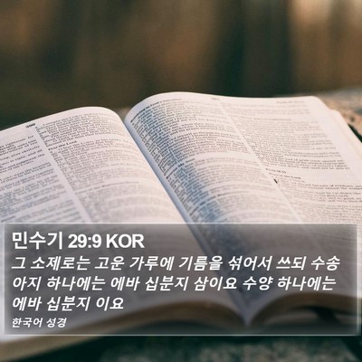 민수기 29:9 KOR Bible Verse Image