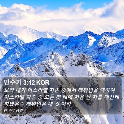 민수기 3:12 KOR Bible Verse Image
