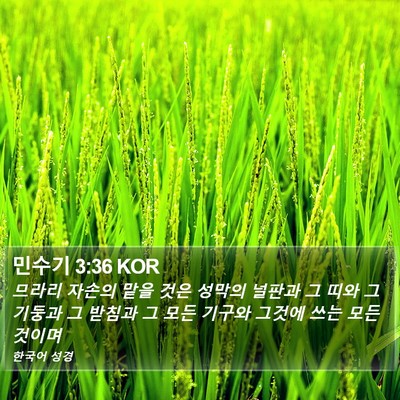 민수기 3:36 KOR Bible Verse Image