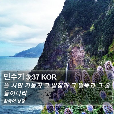 민수기 3:37 KOR Bible Verse Image