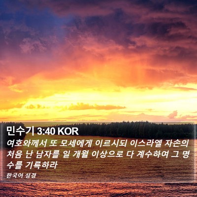 민수기 3:40 KOR Bible Verse Image
