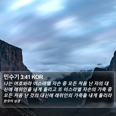민수기 3:41 KOR Bible Verse Image