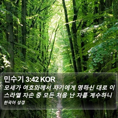 민수기 3:42 KOR Bible Verse Image