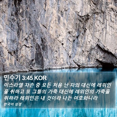 민수기 3:45 KOR Bible Verse Image