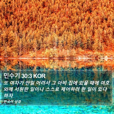 민수기 30:3 KOR Bible Verse Image