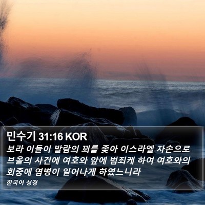민수기 31:16 KOR Bible Verse Image