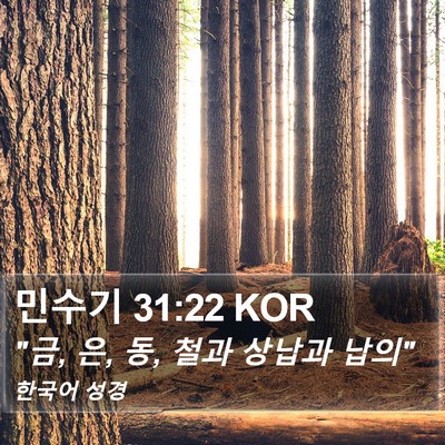 민수기 31:22 KOR Bible Verse Image