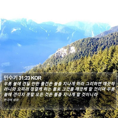 민수기 31:23 KOR Bible Verse Image