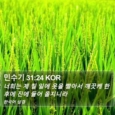 민수기 31:24 KOR Bible Verse Image