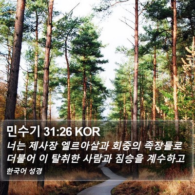 민수기 31:26 KOR Bible Verse Image