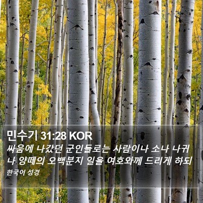 민수기 31:28 KOR Bible Verse Image