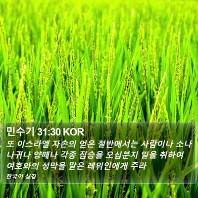 민수기 31:30 KOR Bible Verse Image