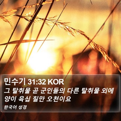 민수기 31:32 KOR Bible Verse Image