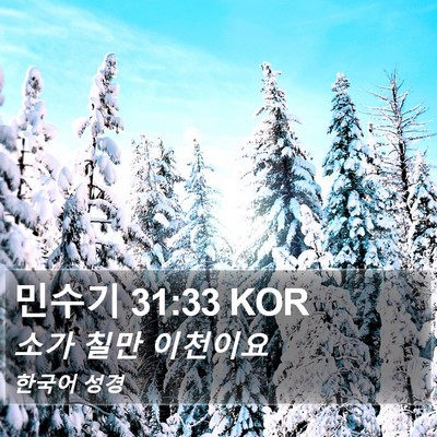 민수기 31:33 KOR Bible Verse Image