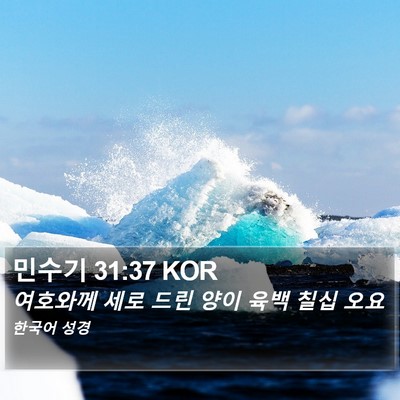 민수기 31:37 KOR Bible Verse Image