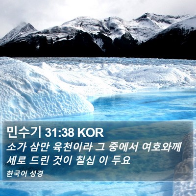 민수기 31:38 KOR Bible Verse Image