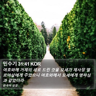 민수기 31:41 KOR Bible Verse Image