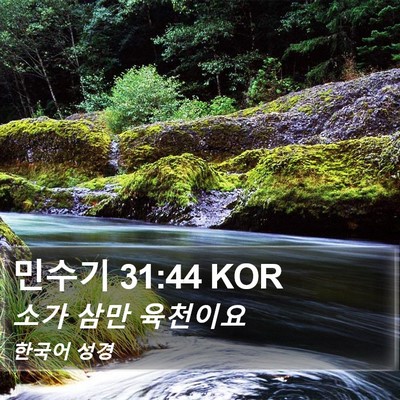민수기 31:44 KOR Bible Verse Image
