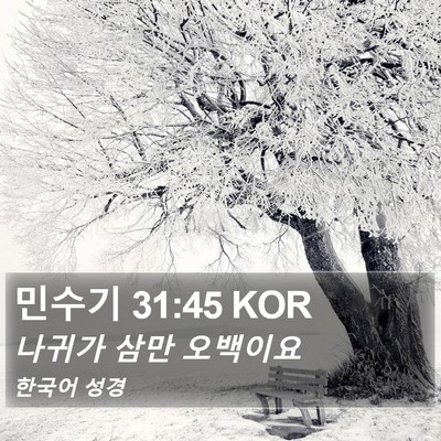 민수기 31:45 KOR Bible Verse Image