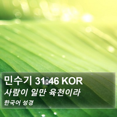 민수기 31:46 KOR Bible Verse Image