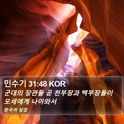 민수기 31:48 KOR Bible Verse Image