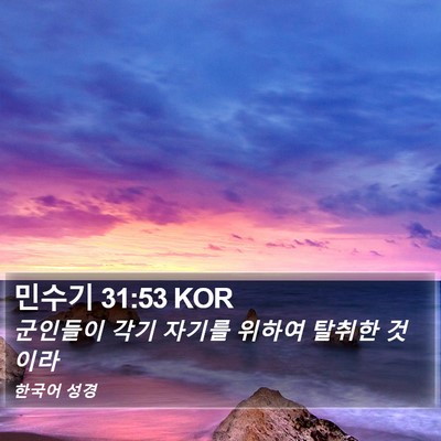 민수기 31:53 KOR Bible Verse Image