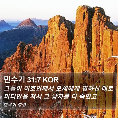 민수기 31:7 KOR Bible Verse Image