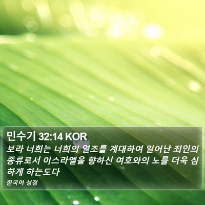 민수기 32:14 KOR Bible Verse Image