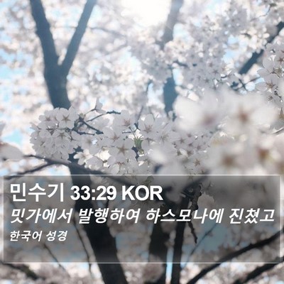 민수기 33:29 KOR Bible Verse Image