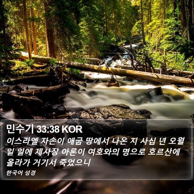 민수기 33:38 KOR Bible Verse Image