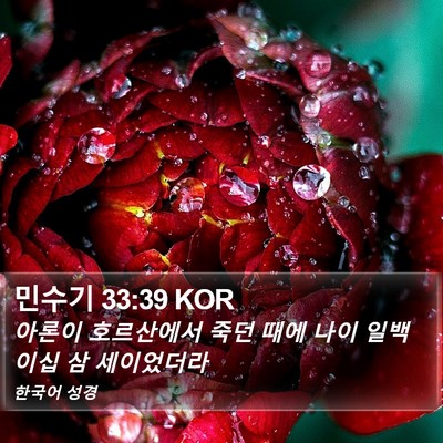 민수기 33:39 KOR Bible Verse Image