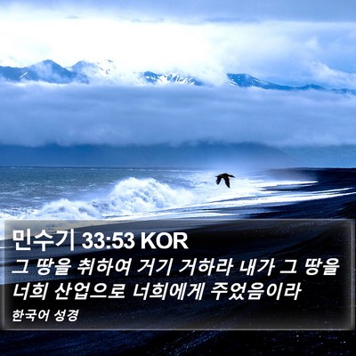 민수기 33:53 KOR Bible Verse Image