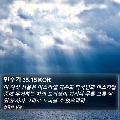 민수기 35:15 KOR Bible Verse Image