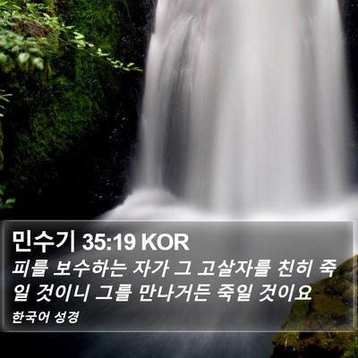 민수기 35:19 KOR Bible Verse Image