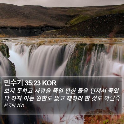 민수기 35:23 KOR Bible Verse Image