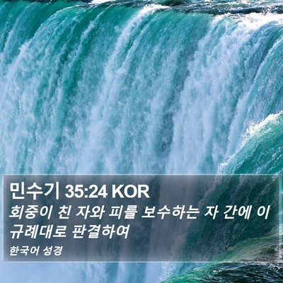 민수기 35:24 KOR Bible Verse Image