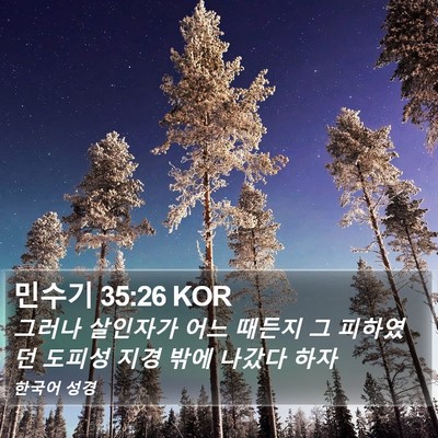 민수기 35:26 KOR Bible Verse Image