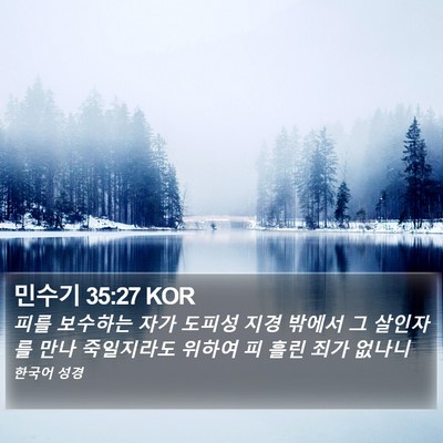 민수기 35:27 KOR Bible Verse Image