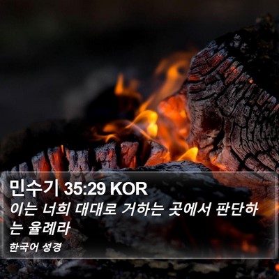 민수기 35:29 KOR Bible Verse Image