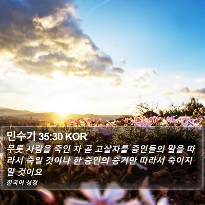 민수기 35:30 KOR Bible Verse Image