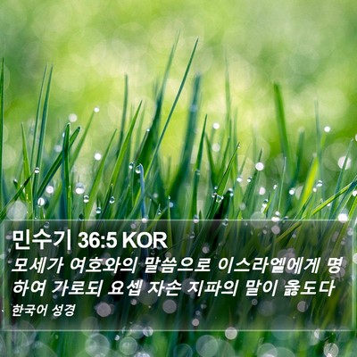 민수기 36:5 KOR Bible Verse Image
