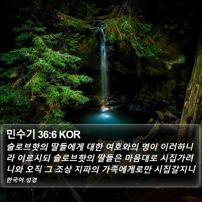 민수기 36:6 KOR Bible Verse Image