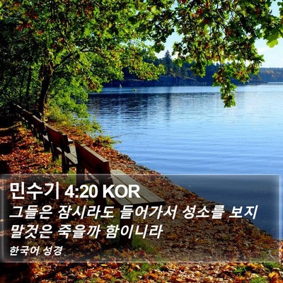 민수기 4:20 KOR Bible Verse Image